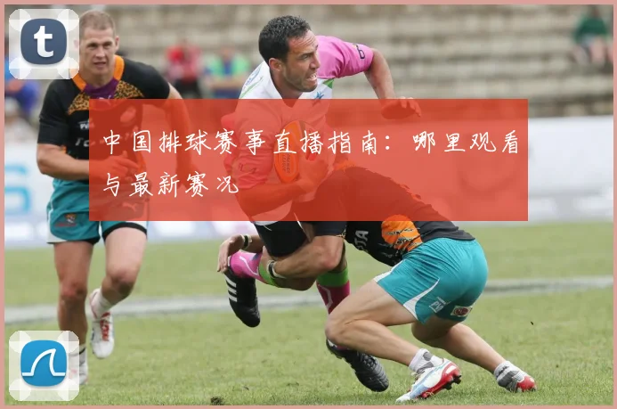 中国排球赛事直播指南:哪里观看与最新赛况