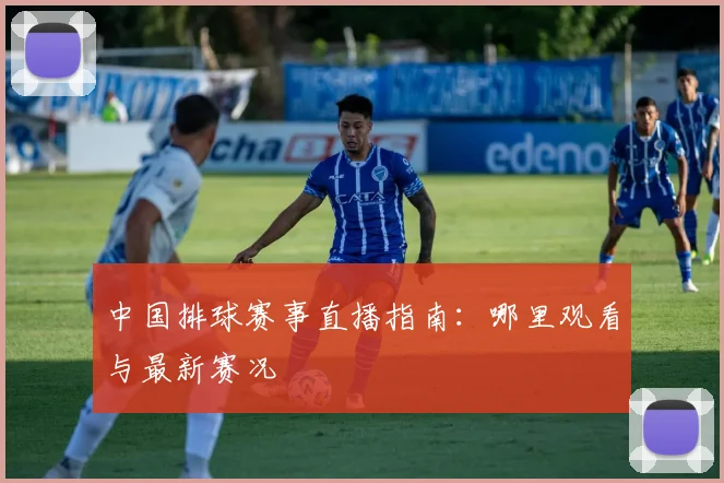 中国排球赛事直播指南:哪里观看与最新赛况